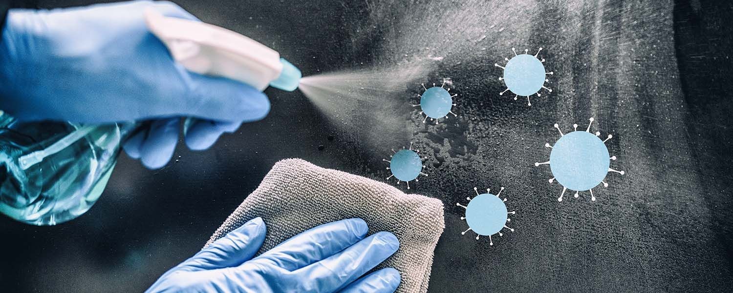Exclusive Car Wash +  Disinfection Service 